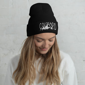 Colorado Mountains Winter Beanie