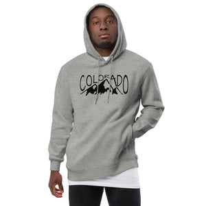 Colorado Mountains Winter Hoodie